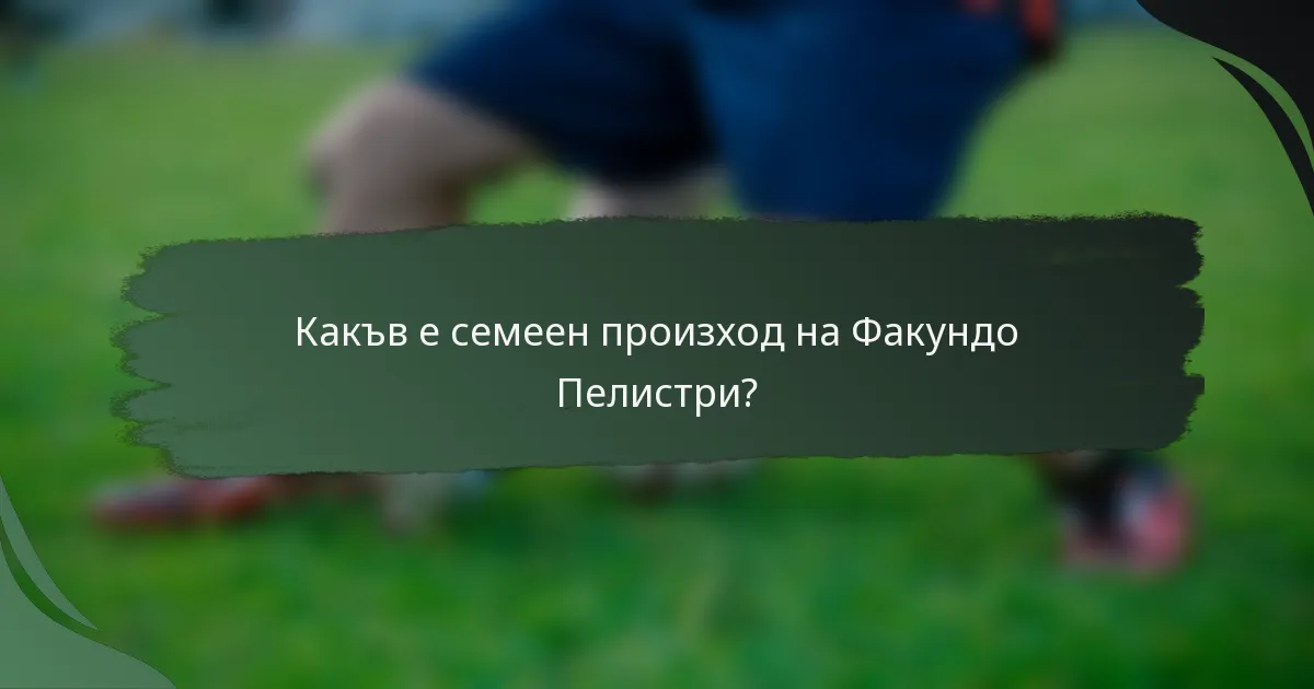 Какъв е семеен произход на Факундо Пелистри?