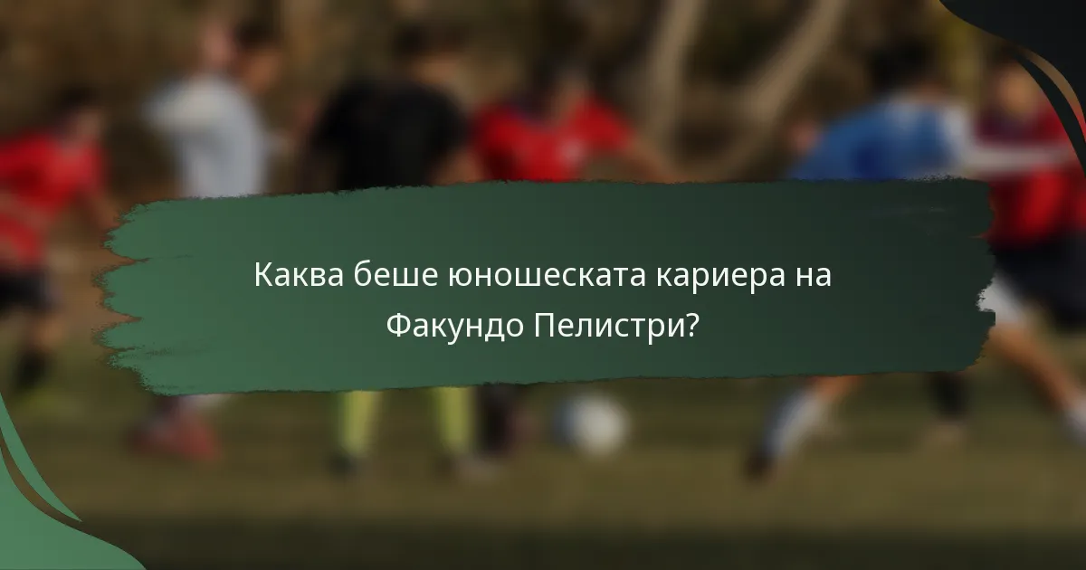 Каква беше юношеската кариера на Факундо Пелистри?