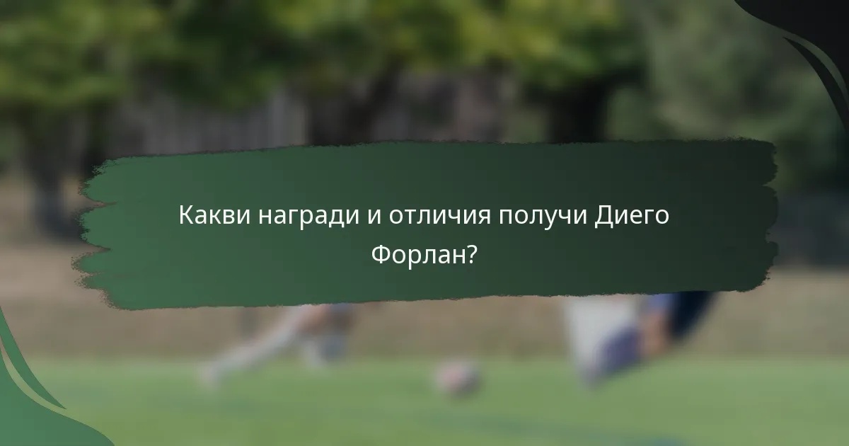 Какви награди и отличия получи Диего Форлан?