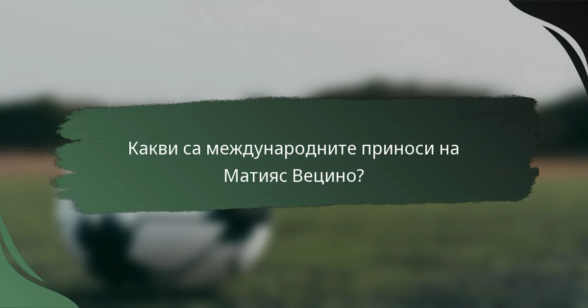 Какви са международните приноси на Матияс Вецино?