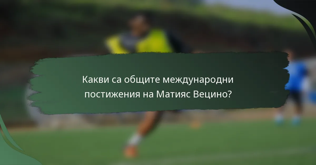 Какви са общите международни постижения на Матияс Вецино?