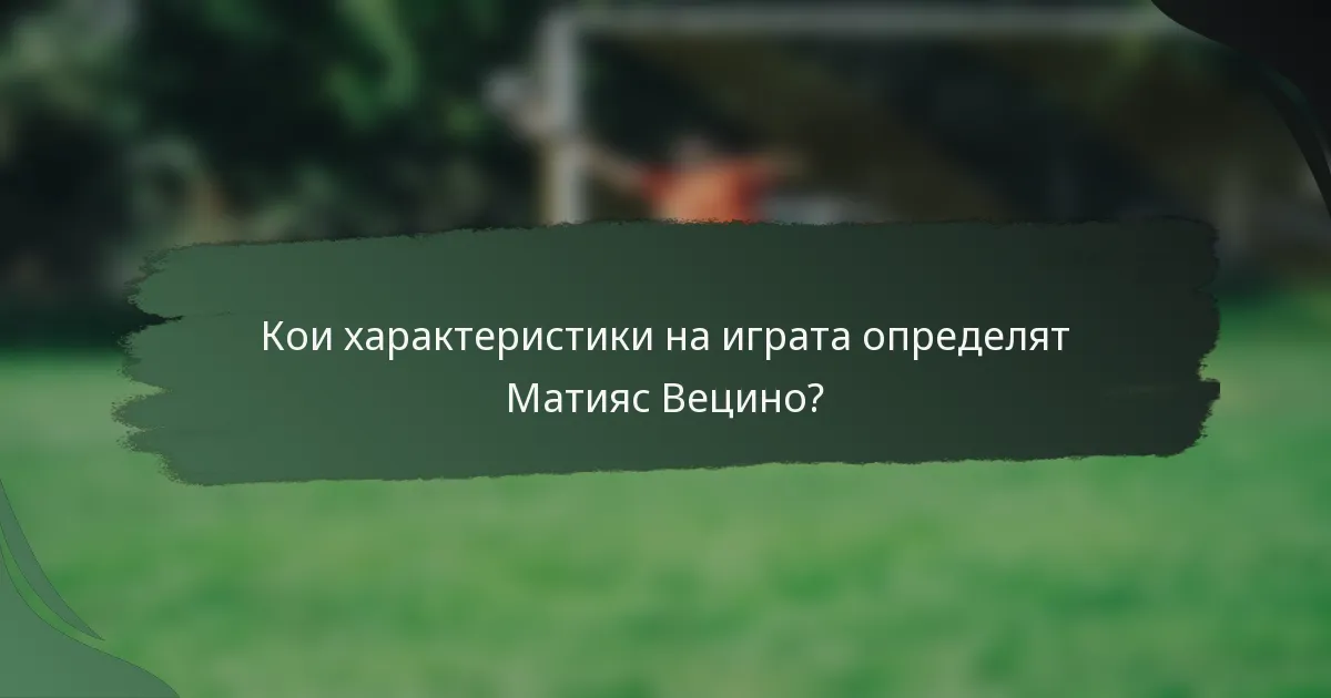 Кои характеристики на играта определят Матияс Вецино?