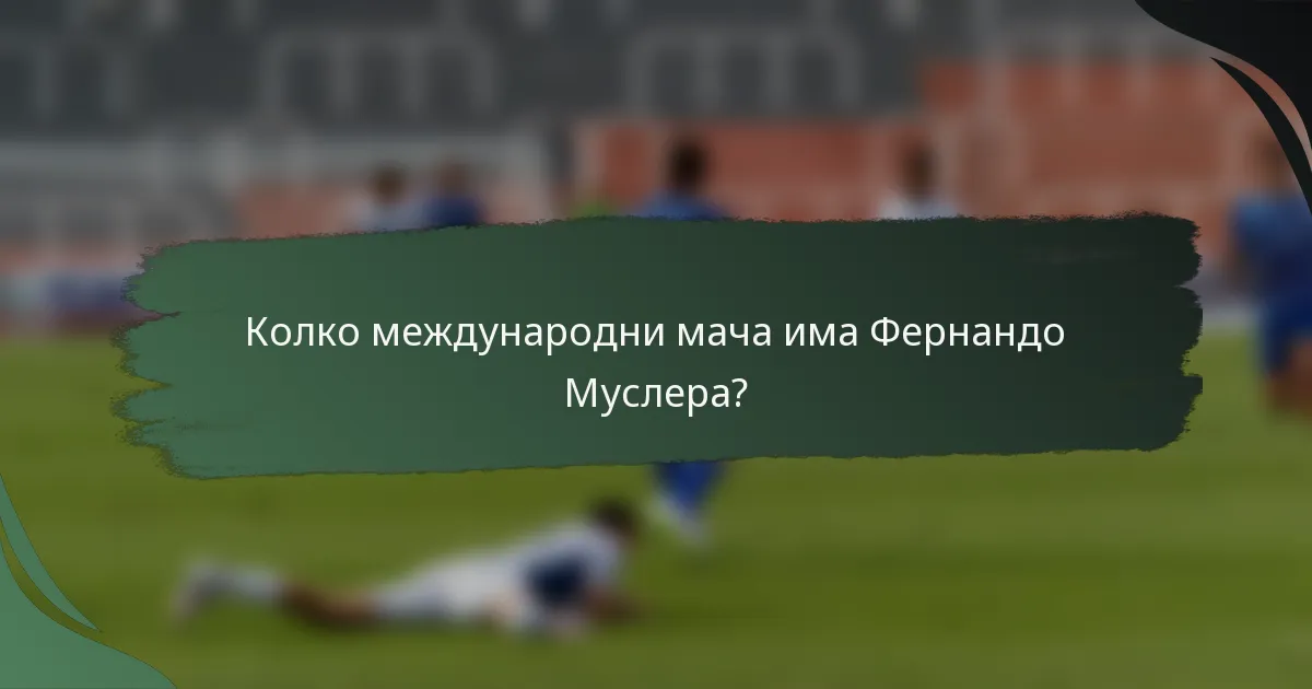 Колко международни мача има Фернандо Муслера?